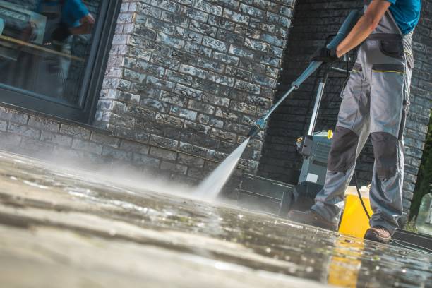 Best Sign and Awning Cleaning  in Nederland, TX