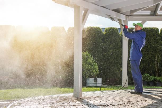Best Patio and Deck Pressure Washing  in Nederland, TX