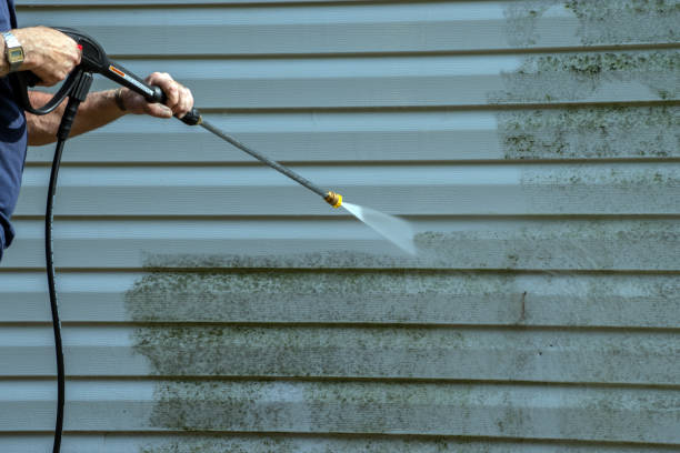 Best Solar Panel Cleaning  in Nederland, TX